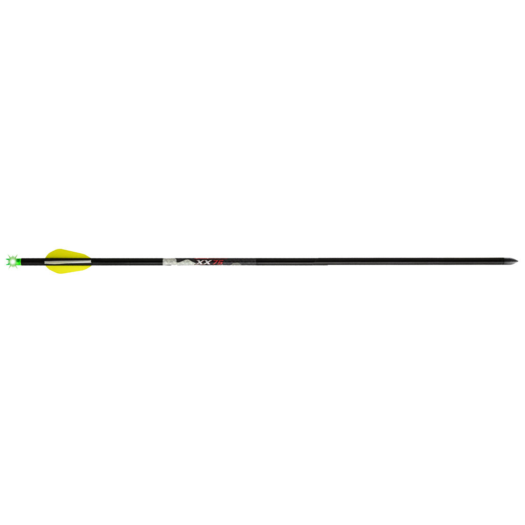 Wicked Ridge Lighted Alpha Brite Arrows Aluminum 20 in. 3 pk.