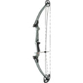 Genesis Bow  Ash RH
